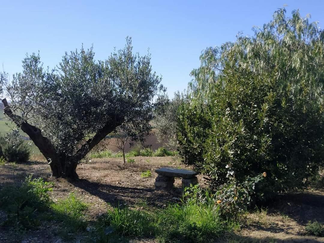 Masseria Baglio Perciata Camporeale Exterior photo